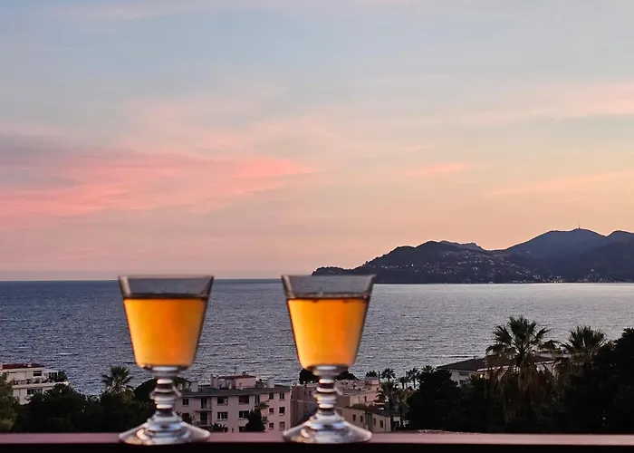 Cannes Appartement 4 Pers Vue Mer Wi Fi Climatisation Piscine